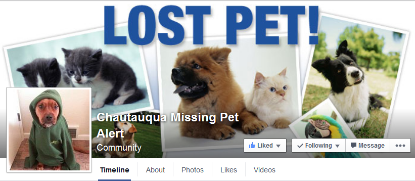 Chautauqua Missing Pet Alert