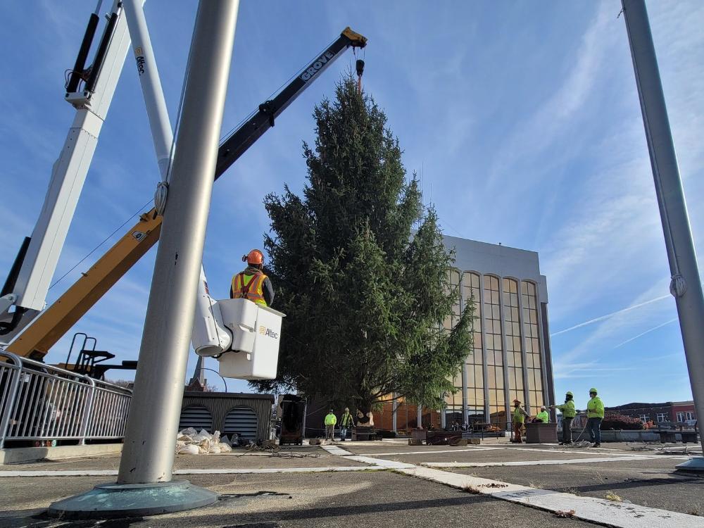 City of Jamestown Places Christmas Tree on Tracy Plaza Chautauqua Today