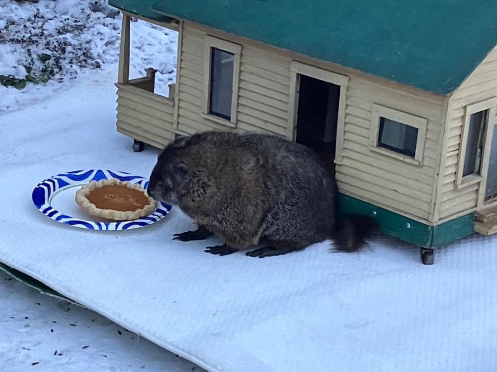 Dunkirk Dave Predicts Early Spring Weather Chautauqua Today
