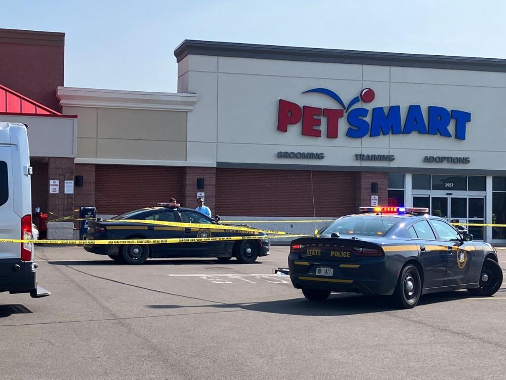 Dunkirk Woman Dies in VehiclePedestrian Accident at Tops Plaza